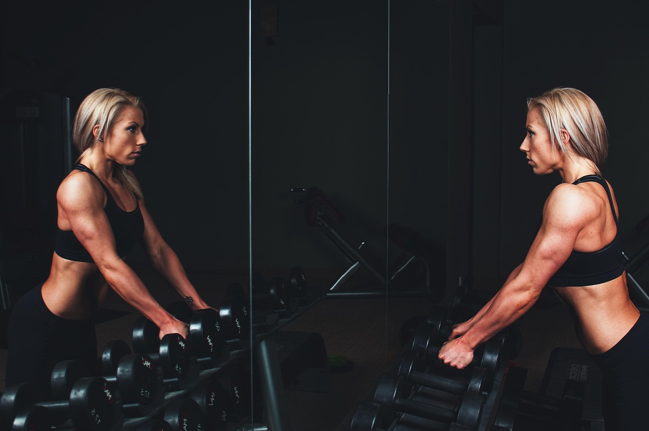 Reactcore Fitness Club collection